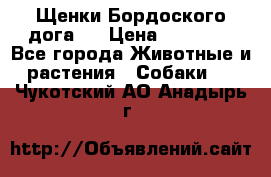 Щенки Бордоского дога.  › Цена ­ 30 000 - Все города Животные и растения » Собаки   . Чукотский АО,Анадырь г.